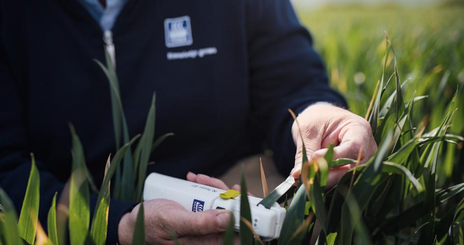 Agronomist testing Yara digital tool on crop